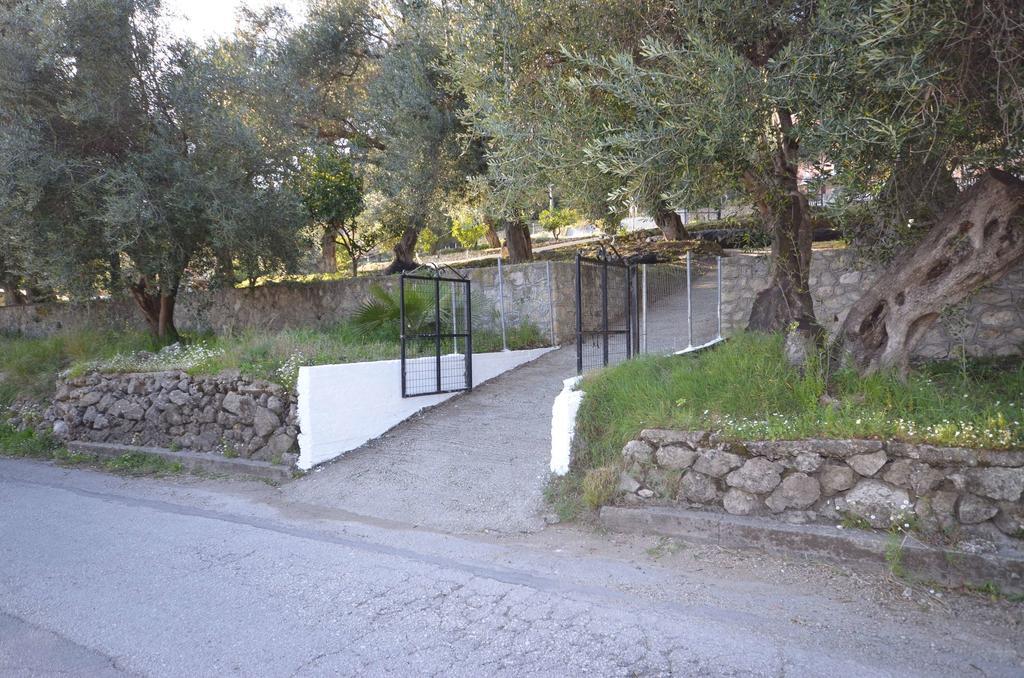 Lisipio Studios By Eleni Paleokastrítsa Extérieur photo